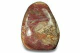 Free-Standing, Polished Petrified Wood - Madagascar #271812-1
